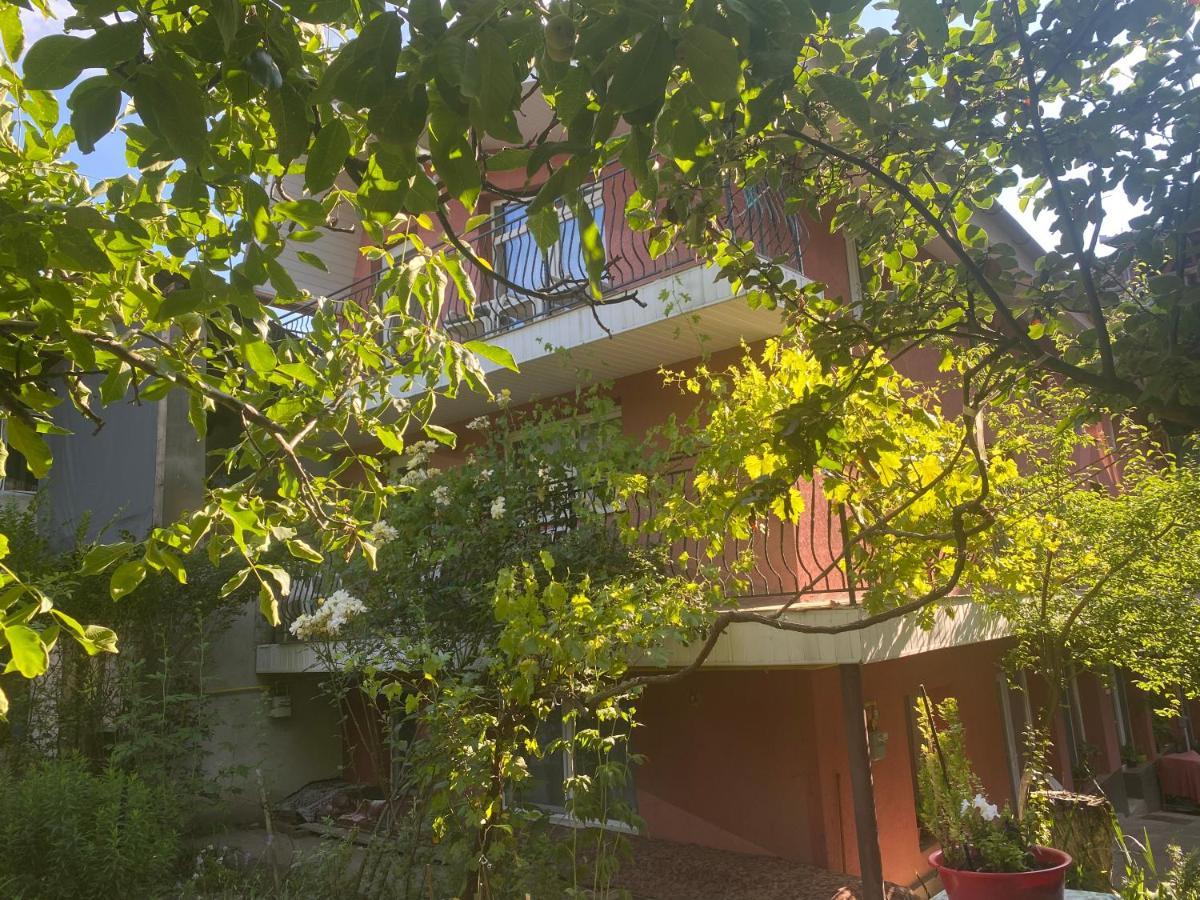 Ardelean Apartment Oradea Luaran gambar